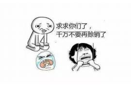 猇亭专业要账公司